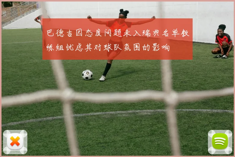 巴德吉因态度问题未入瑞典名单教练组忧虑其对球队氛围的影响